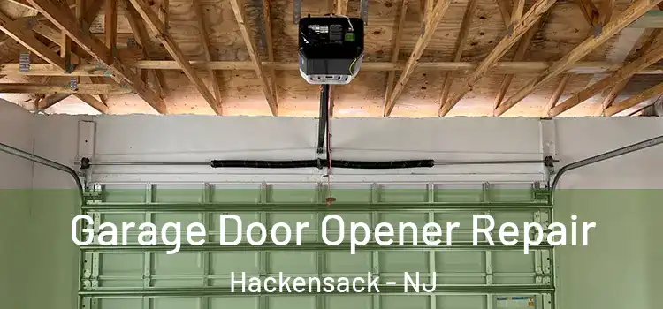  Garage Door Opener Repair Hackensack - NJ