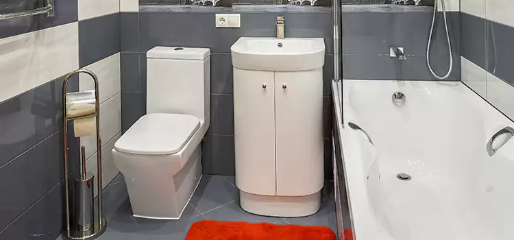 Hansgrohe Shaving Mirror Hackensack